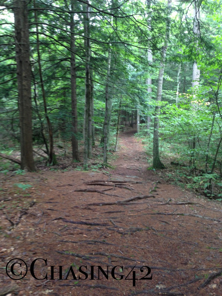 I had the trails around Bradbury Mountain to myself! 